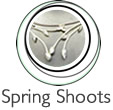 Spring Shoots Button